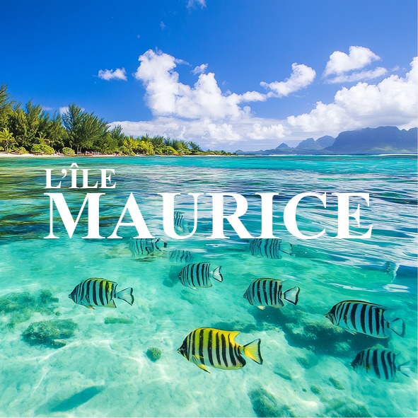 île Maurice