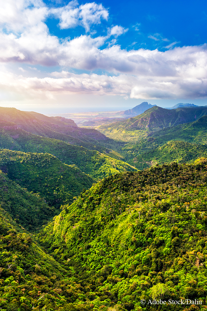 parc naturel de Rivière Noire île Maurice