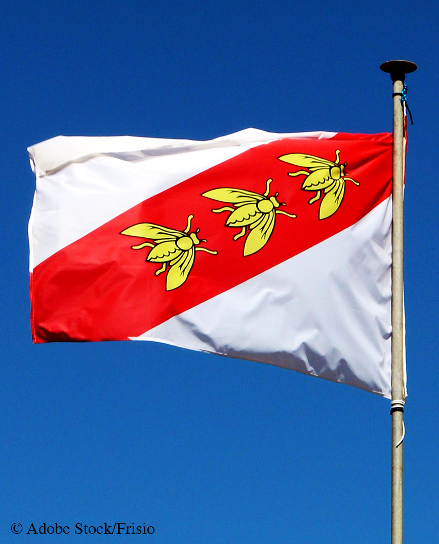 Drapeau Napoléon île d'Elbe